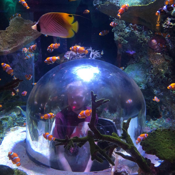 Foto diambil di SEA LIFE Minnesota Aquarium oleh Soren pada 4/10/2023