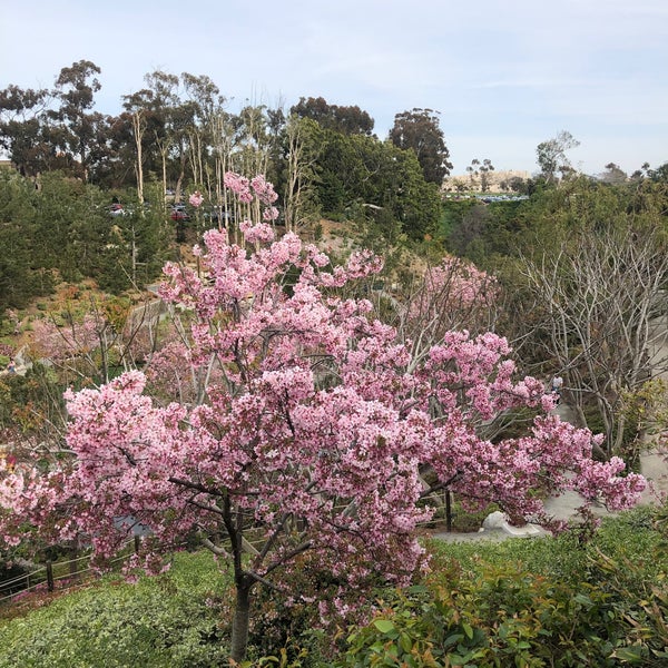 Foto tirada no(a) Japanese Friendship Garden por Soren em 3/18/2023