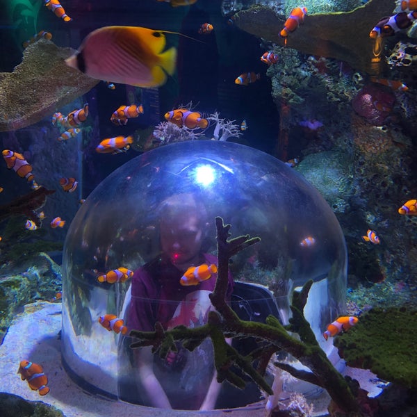 รูปภาพถ่ายที่ SEA LIFE Minnesota Aquarium โดย Soren เมื่อ 4/10/2023