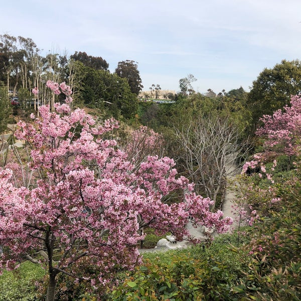 Photo taken at Japanese Friendship Garden by Soren on 3/18/2023