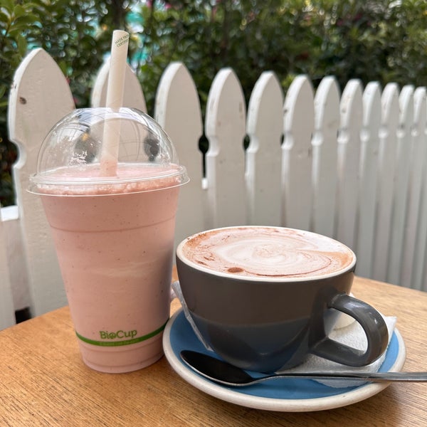 Chocolate Frog Cafe Café en Miramar