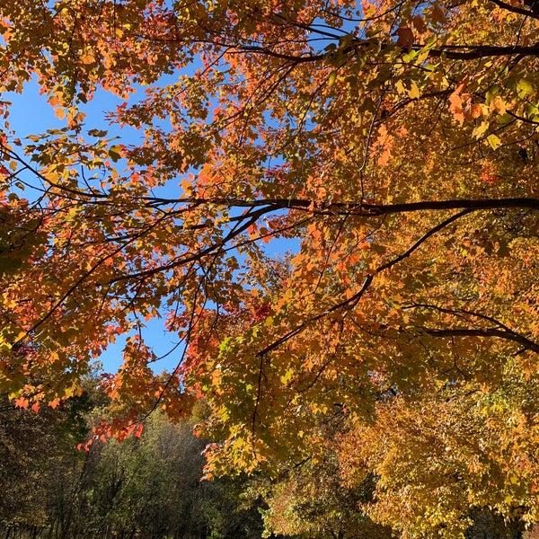 Bur Oak Picnic Area Elyria, OH