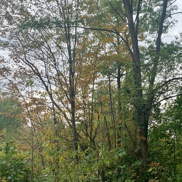 Bur Oak Picnic Area Elyria, OH