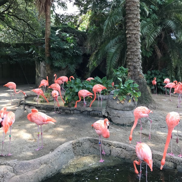 Das Foto wurde bei Audubon Zoo von Krysten K. am 9/16/2017 aufgenommen