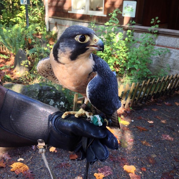 Photo taken at Audubon Society of Portland by Sienna K. on 10/19/2014