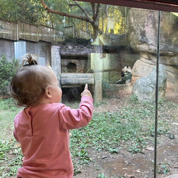 10/15/2022 tarihinde Travis C.ziyaretçi tarafından Zoo Atlanta'de çekilen fotoğraf