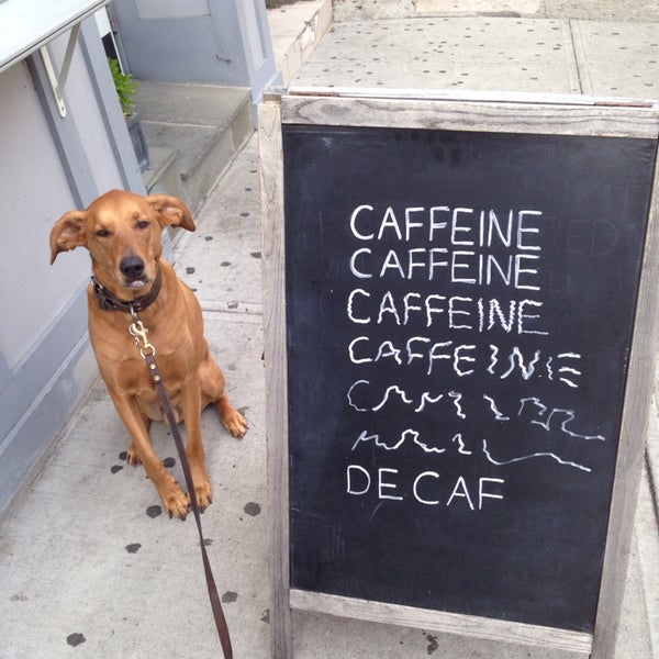 The walkup window is an awesome place to grab a bit caffeine on your morning walk with mans best friend.