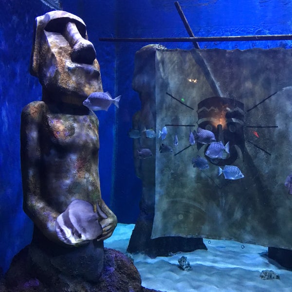 1/1/2022 tarihinde Hazar K.ziyaretçi tarafından Funtastic Aquarium İzmir'de çekilen fotoğraf