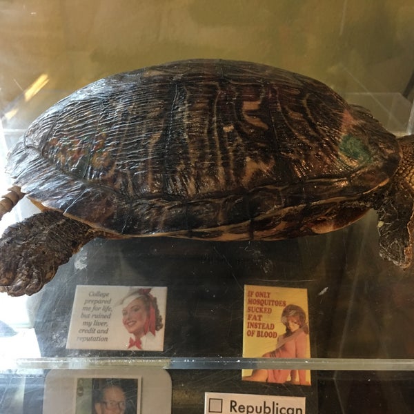 Wintons Island Candy Shop Port Aransas, TX