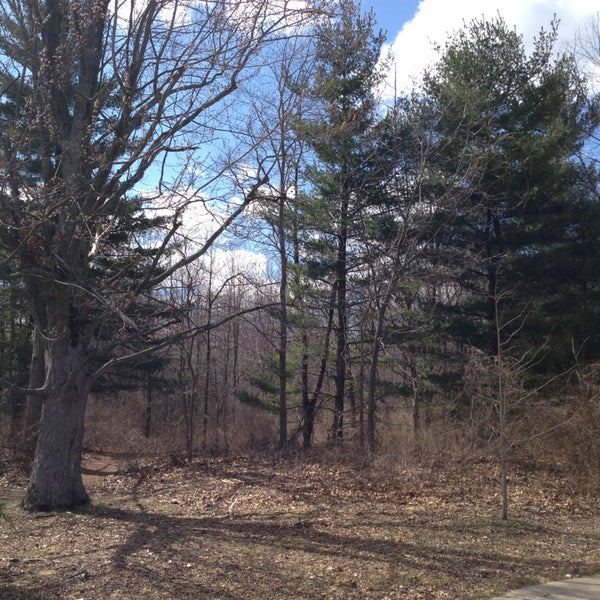 Bedford Branch Library Temperance, MI