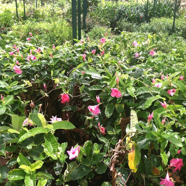 Tree Of Life Nursery Garden Center In San Juan