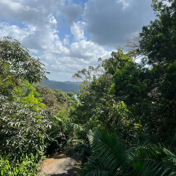Снимок сделан в Gamboa Rainforest Resort пользователем Aakeynn S. 1/28/2024