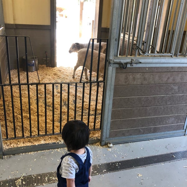 7/21/2019 tarihinde Ed H.ziyaretçi tarafından Happy Hollow Park &amp; Zoo'de çekilen fotoğraf