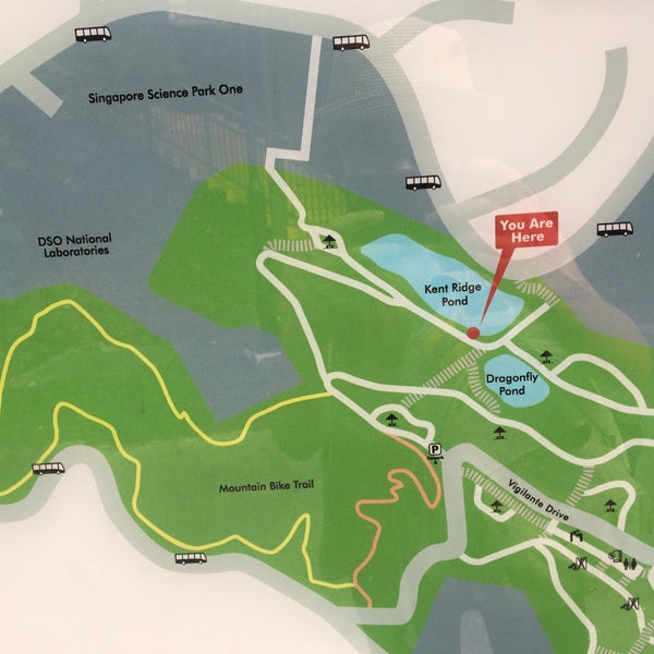 Kent Ridge Park Map Photos At Kent Ridge Park - Central Region - 29 Tips