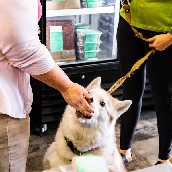 Photos At Natural Pet Pantry Pet Service In Burien