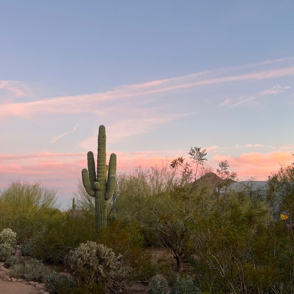 Das Foto wurde bei Desert Botanical Garden von Caitlin O. am 3/8/2023 aufgenommen