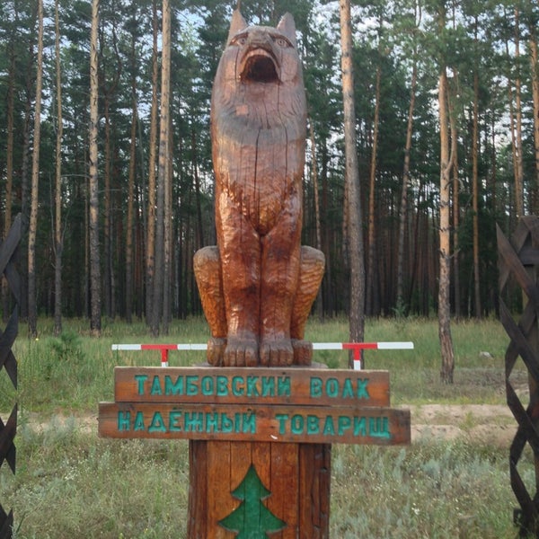 Шоколад тамбовский волк. Тамбовский волк квартал. Квартал 95 жидков квн. Тамбовский волк квартал. Тамбовский волк квартал.