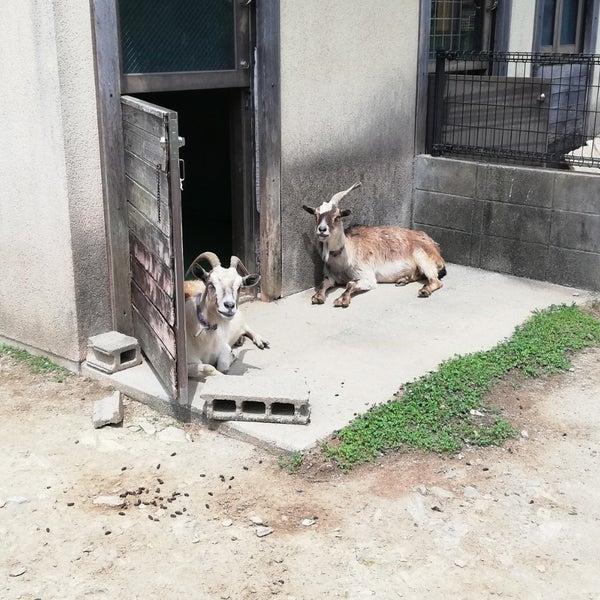 和歌山県動物愛護センター 26 Visitors 和歌山県動物愛護センター 26 Visitors