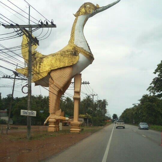 My Image 14