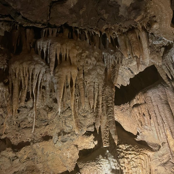 6/5/2023에 Heidi A.님이 Lake Shasta Caverns에서 찍은 사진