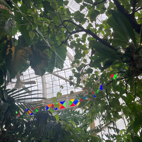 Photo taken at Conservatory of Flowers by Heidi A. on 3/2/2024