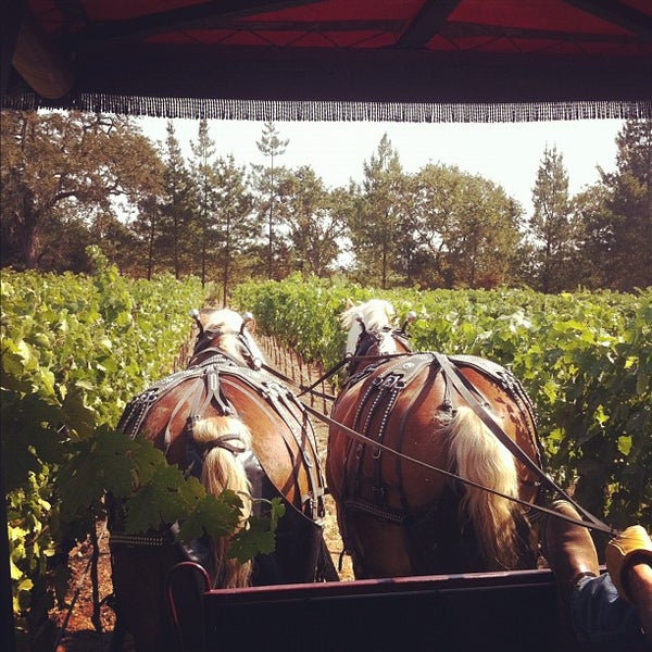 Photo taken at Alexander Valley Vineyards by Lindsay E. on 9/26/2012