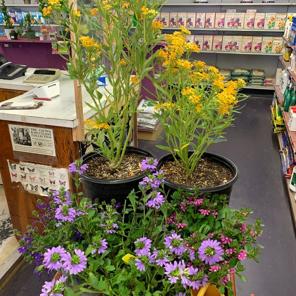 Lakewood Nursery Garden Center