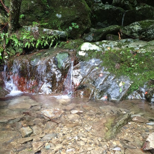 Photos At 四万十川源流之碑 津野町船戸 Photos At 四万十川源流之碑 津野町船戸