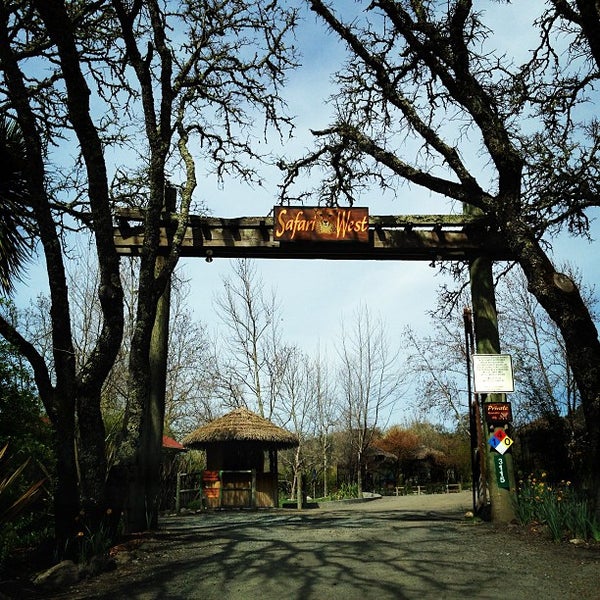 Safari West Wildlife Preserve & African Tent Camp - 18 tips from 1090