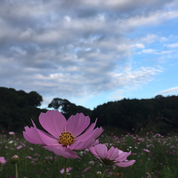 Photos At 下松スポーツ公園総合グランド 下松市 山口県