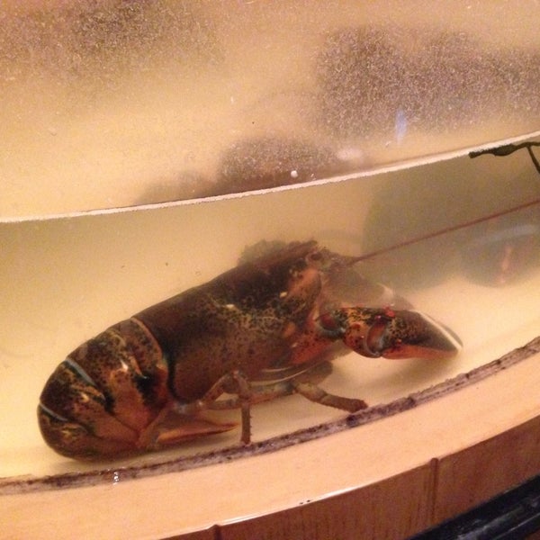 Photo taken at King Crab Tavern &amp; Seafood Grill by Mari R. on 3/8/2014