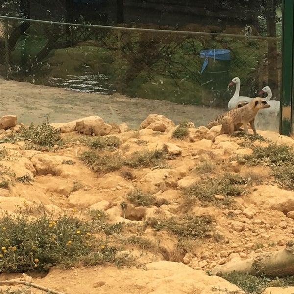 Foto diambil di Polonezköy Hayvanat Bahçesi ve Doğal Yaşam Parkı oleh fırat c. pada 11/10/2019