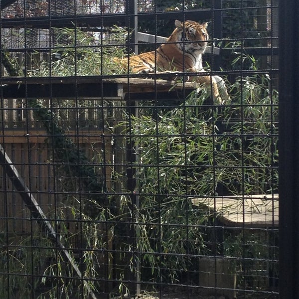4/4/2013에 Lu L.님이 Brandywine Zoo에서 찍은 사진