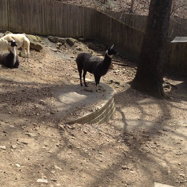 Foto scattata a Brandywine Zoo da Lu L. il 4/4/2013