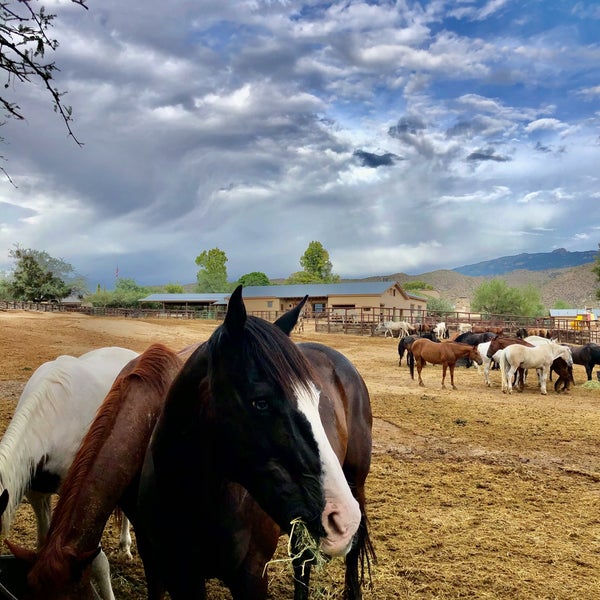 7/28/2020にNaif A.がTanque Verde Ranchで撮った写真