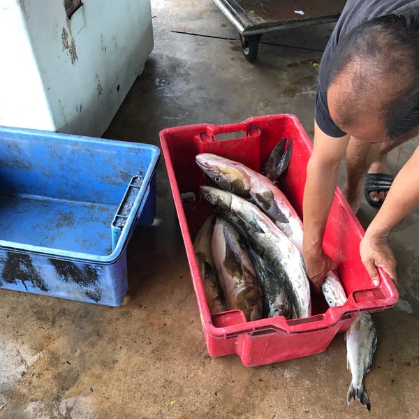 Kompleks Lembaga Kemajuan Ikan Malaysia Lkim Kuala Kemaman