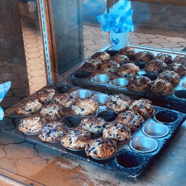 Blueberry Muffin Restaurant 1130 N Highway A1a
