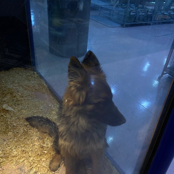 Photo prise au Joon Veterinary Clinic &amp; Pet Shop par R le1/25/2023
