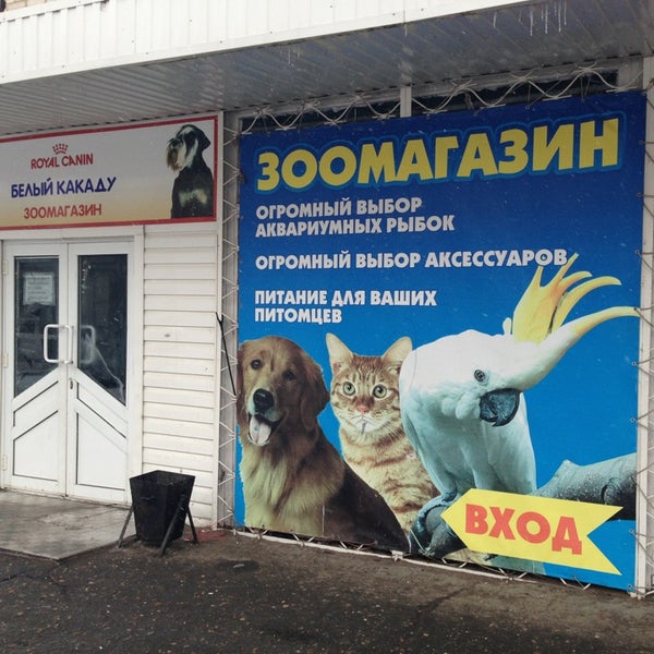 Какаду Зоомагазин Интернет Магазин