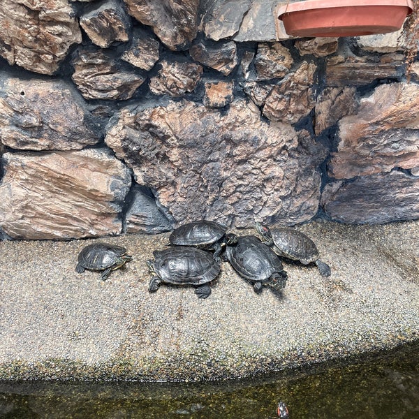 Pacific Car Wash Irvington 41080 Trimboli Way