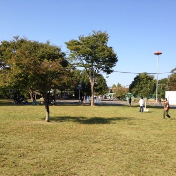 運動 公園 亀岡