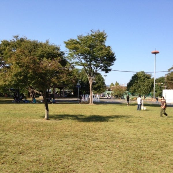 公園 亀岡 運動