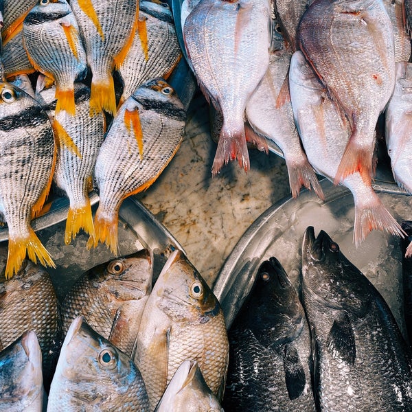 Photos at Qatif fish market Al Qaţīf, الشرقية