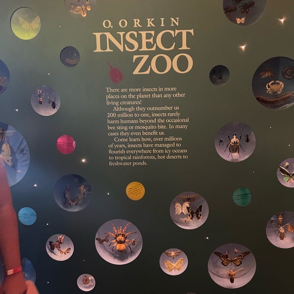 Insect Zoo at Smithsonian National Museum of Natural History Science