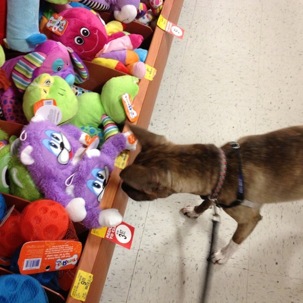 Photos at PetSmart Raleigh, NC