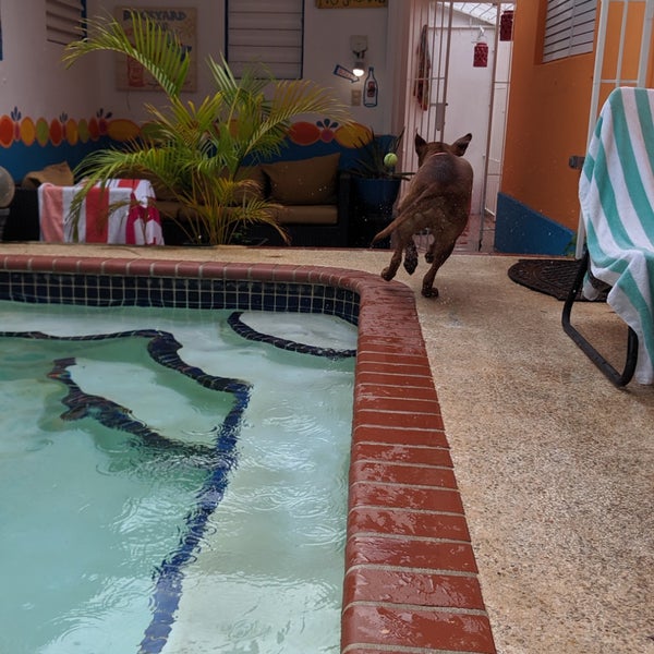 Foto diambil di Coqui Del Mar Guest House oleh Megan C. pada 8/19/2019