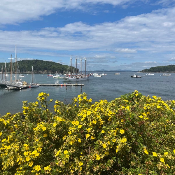 Terrace Grill American Restaurant in Bar Harbor