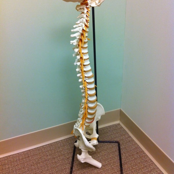 3/12/2014にMelissa I.がPain Relief Chiropracticで撮った写真