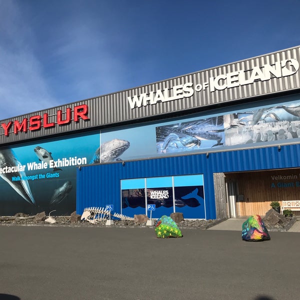 8/25/2018 tarihinde Carolyn G.ziyaretçi tarafından Whales of Iceland'de çekilen fotoğraf