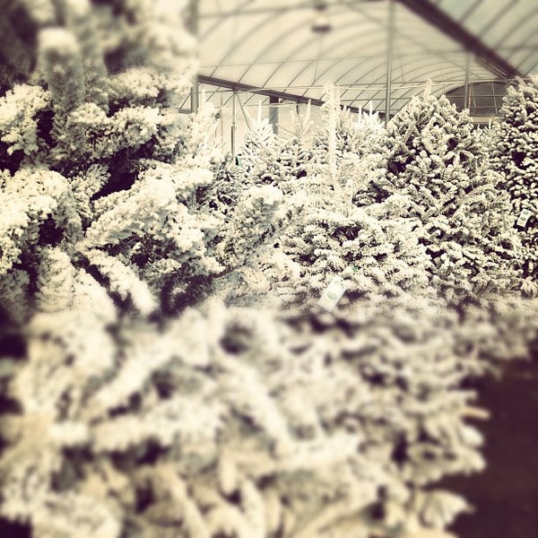 Photo taken at Pike Nurseries by Jeff S. on 12/7/2012